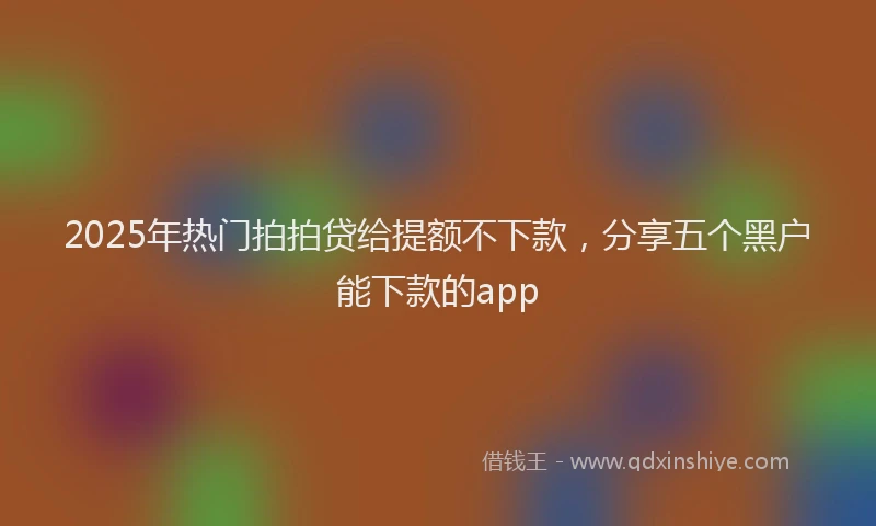 2025年热门拍拍贷给提额不下款，分享五个黑户能下款的app