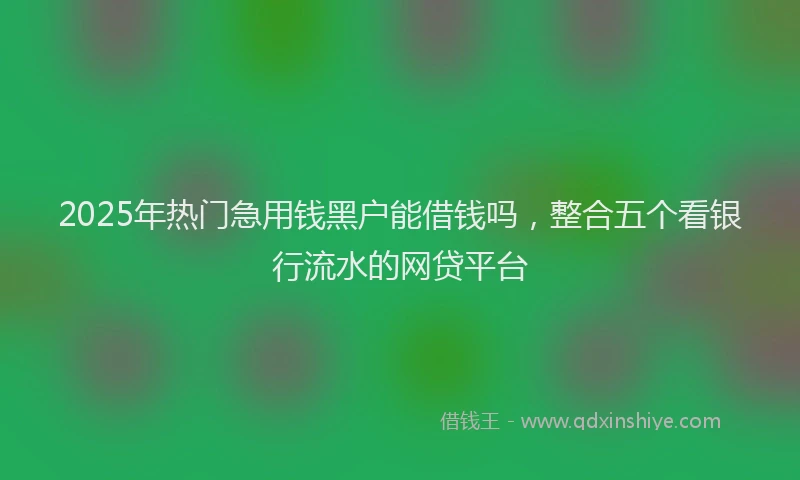 2025年热门急用钱黑户能借钱吗，整合五个看银行流水的网贷平台