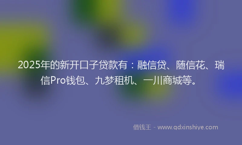 2025年的新开口子贷款有：融信贷、随信花、瑞信Pro钱包、九梦租机、一川商城等。
