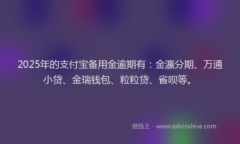 2025年的支付宝备用金逾期有：金瀛分期、万通小贷、金瑞钱包、粒粒贷、省呗等。