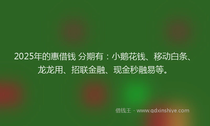 2025年的惠借钱 分期有：小鹅花钱、移动白条、龙龙用、招联金融、现金秒融易等。