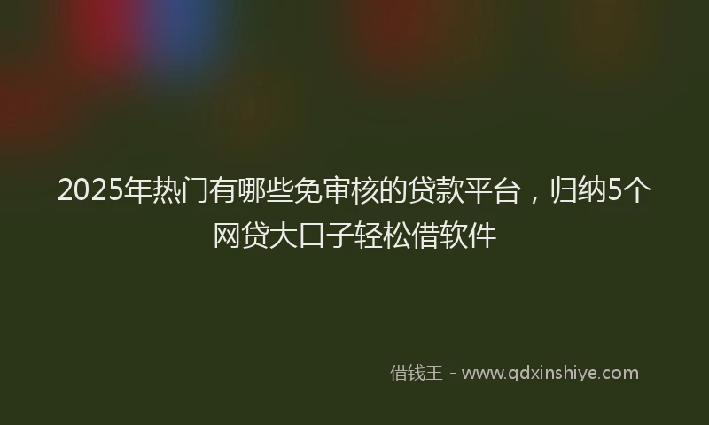2025年热门有哪些免审核的贷款平台，归纳5个网贷大口子轻松借软件