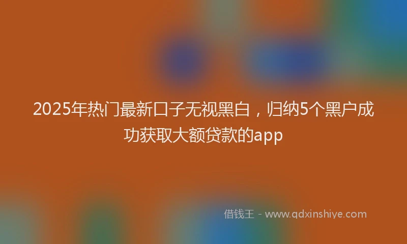 2025年热门最新口子无视黑白，归纳5个黑户成功获取大额贷款的app