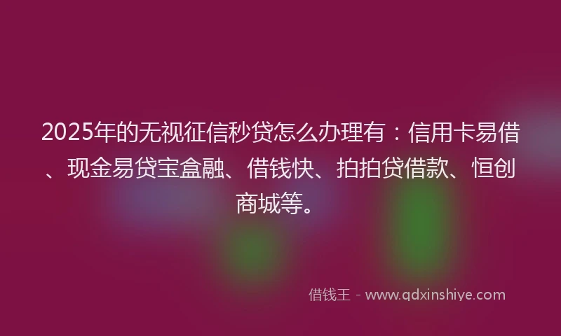 2025年的无视征信秒贷怎么办理有：信用卡易借、现金易贷宝盒融、借钱快、拍拍贷借款、恒创商城等。