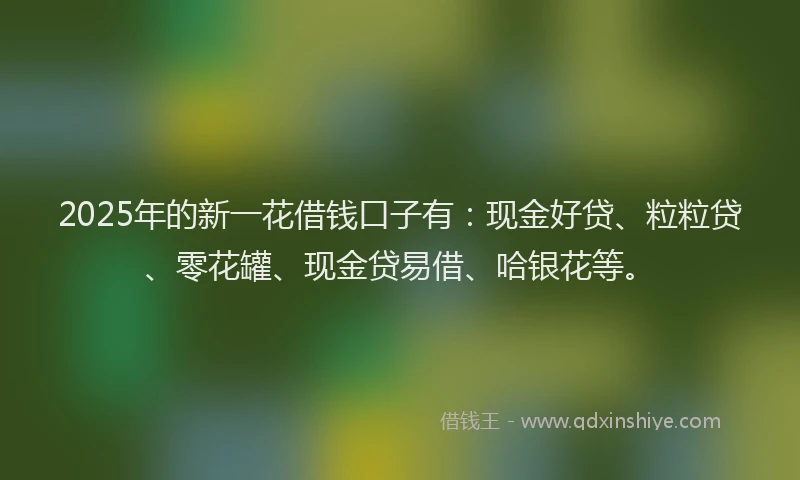 2025年的新一花借钱口子有：现金好贷、粒粒贷、零花罐、现金贷易借、哈银花等。