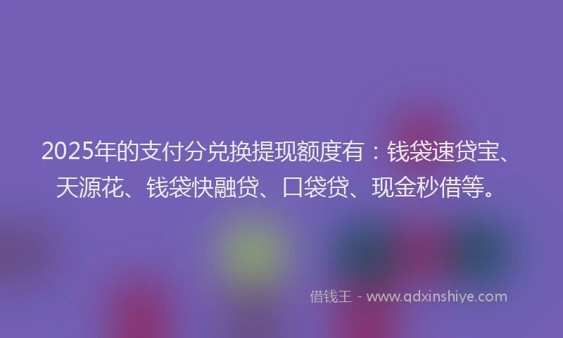 2025年的支付分兑换提现额度有：钱袋速贷宝、天源花、钱袋快融贷、口袋贷、现金秒借等。