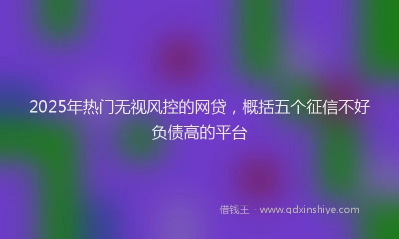 2025年热门无视风控的网贷，概括五个征信不好负债高的平台