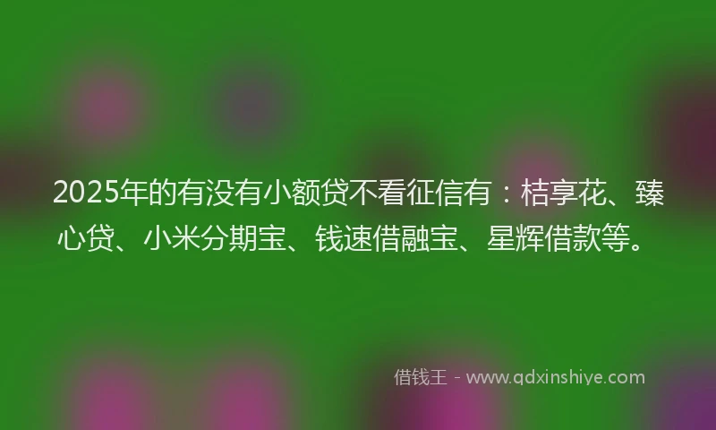 2025年的有没有小额贷不看征信有：桔享花、臻心贷、小米分期宝、钱速借融宝、星辉借款等。