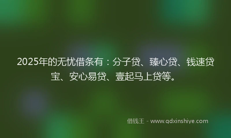 2025年的无忧借条有：分子贷、臻心贷、钱速贷宝、安心易贷、壹起马上贷等。