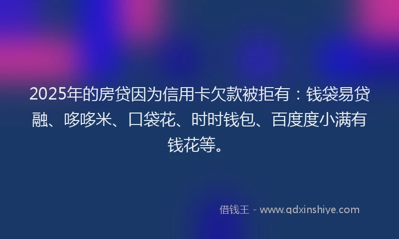 2025年的房贷因为信用卡欠款被拒有：钱袋易贷融、哆哆米、口袋花、时时钱包、百度度小满有钱花等。