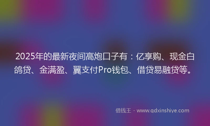 2025年的最新夜间高炮口子有：亿享购、现金白鸽贷、金满盈、翼支付Pro钱包、借贷易融贷等。