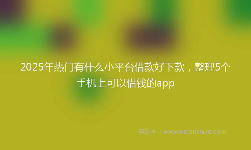 2025年热门有什么小平台借款好下款，整理5个手机上可以借钱的app