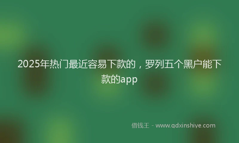 2025年热门最近容易下款的，罗列五个黑户能下款的app