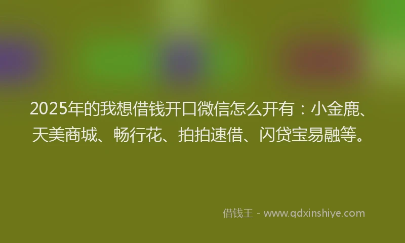 2025年的我想借钱开口微信怎么开有：小金鹿、天美商城、畅行花、拍拍速借、闪贷宝易融等。