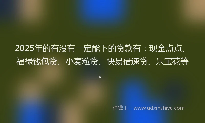 2025年的有没有一定能下的贷款有：现金点点、福禄钱包贷、小麦粒贷、快易借速贷、乐宝花等。