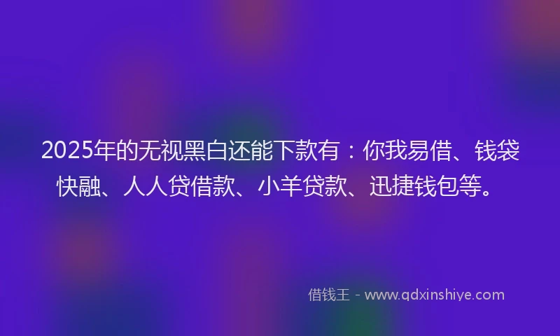 2025年的无视黑白还能下款有：你我易借、钱袋快融、人人贷借款、小羊贷款、迅捷钱包等。