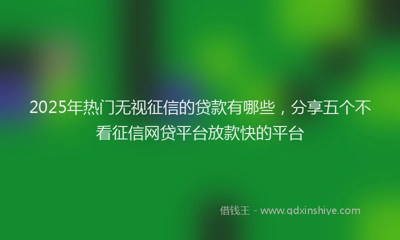 2025年热门无视征信的贷款有哪些，分享五个不看征信网贷平台放款快的平台