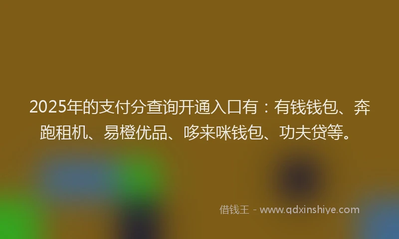 2025年的支付分查询开通入口有：有钱钱包、奔跑租机、易橙优品、哆来咪钱包、功夫贷等。