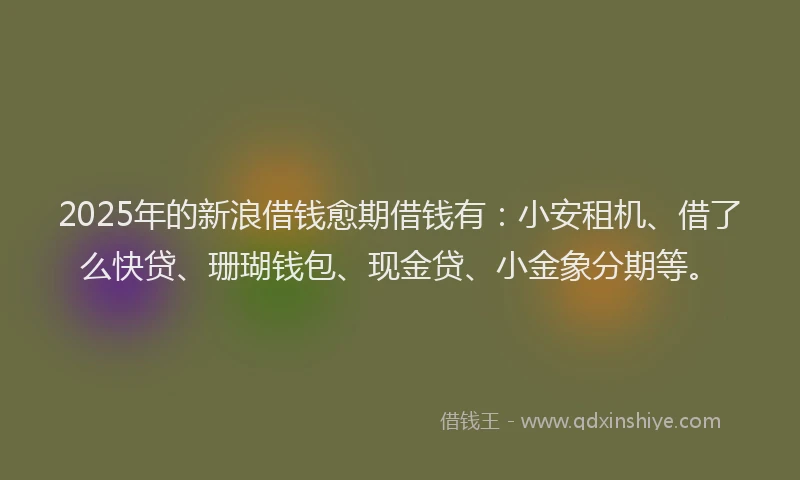 2025年的新浪借钱愈期借钱有：小安租机、借了么快贷、珊瑚钱包、现金贷、小金象分期等。