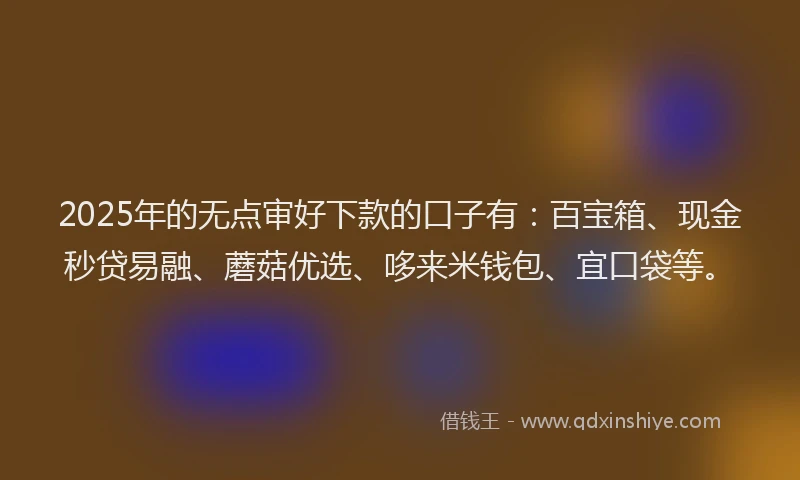 2025年的无点审好下款的口子有：百宝箱、现金秒贷易融、蘑菇优选、哆来米钱包、宜口袋等。
