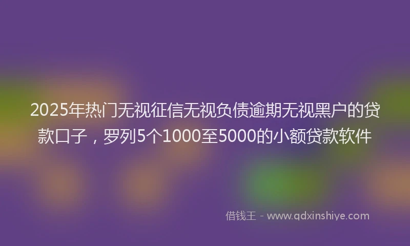 2025年热门无视征信无视负债逾期无视黑户的贷款口子，罗列5个1000至5000的小额贷款软件