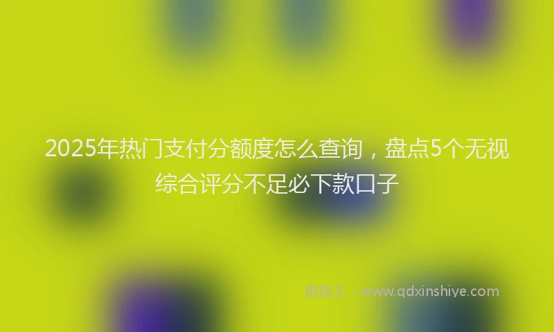2025年热门支付分额度怎么查询，盘点5个无视综合评分不足必下款口子
