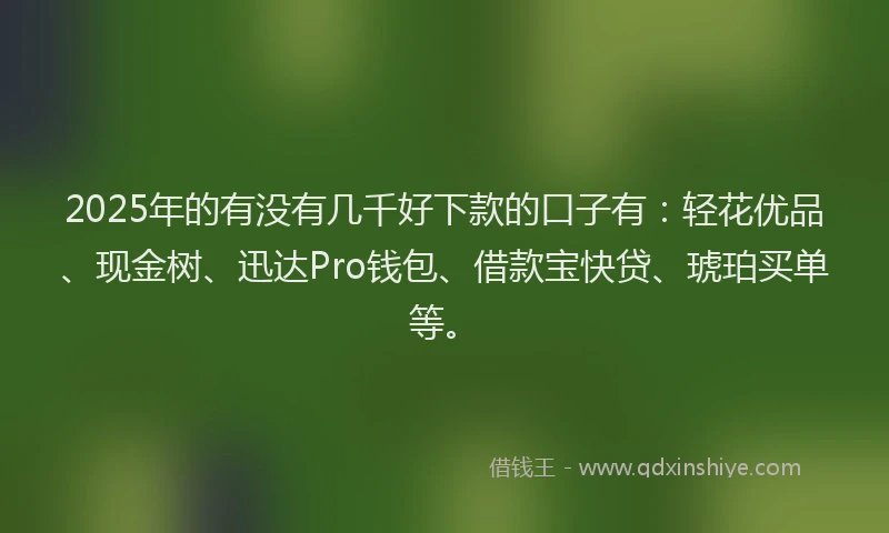 2025年的有没有几千好下款的口子有：轻花优品、现金树、迅达Pro钱包、借款宝快贷、琥珀买单等。