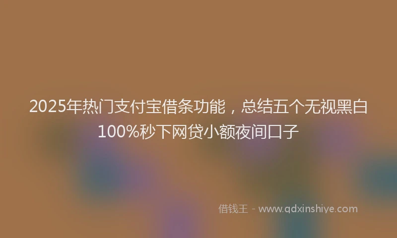 2025年热门支付宝借条功能，总结五个无视黑白100%秒下网贷小额夜间口子