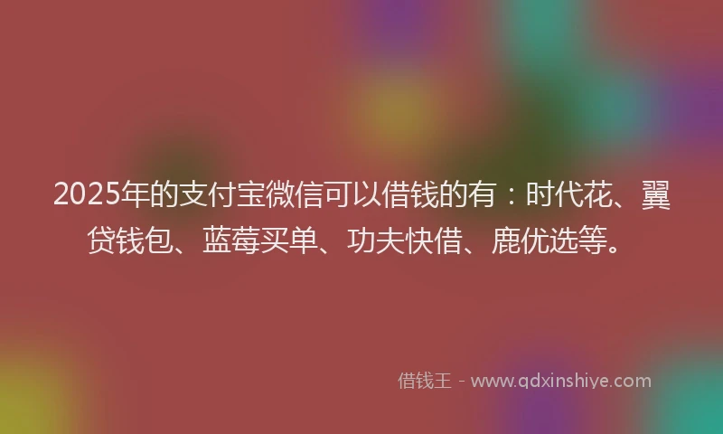 2025年的支付宝微信可以借钱的有：时代花、翼贷钱包、蓝莓买单、功夫快借、鹿优选等。