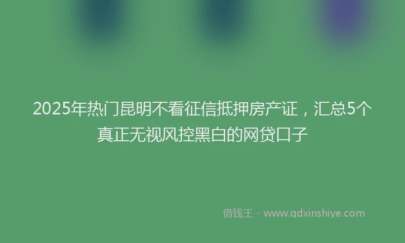 2025年热门昆明不看征信抵押房产证，汇总5个真正无视风控黑白的网贷口子