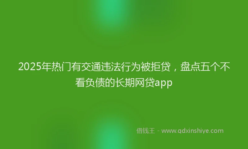 2025年热门有交通违法行为被拒贷，盘点五个不看负债的长期网贷app