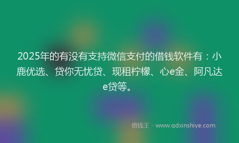 2025年的有没有支持微信支付的借钱软件有：小鹿优选、贷你无忧贷、现租柠檬、心e金、阿凡达e贷等。