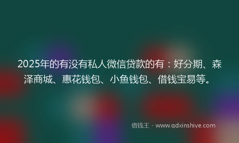 2025年的有没有私人微信贷款的有：好分期、森泽商城、惠花钱包、小鱼钱包、借钱宝易等。
