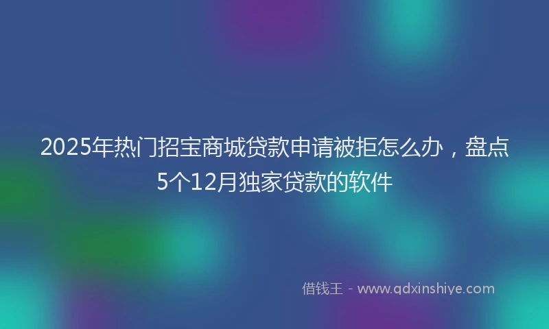 2025年热门招宝商城贷款申请被拒怎么办，盘点5个12月独家贷款的软件