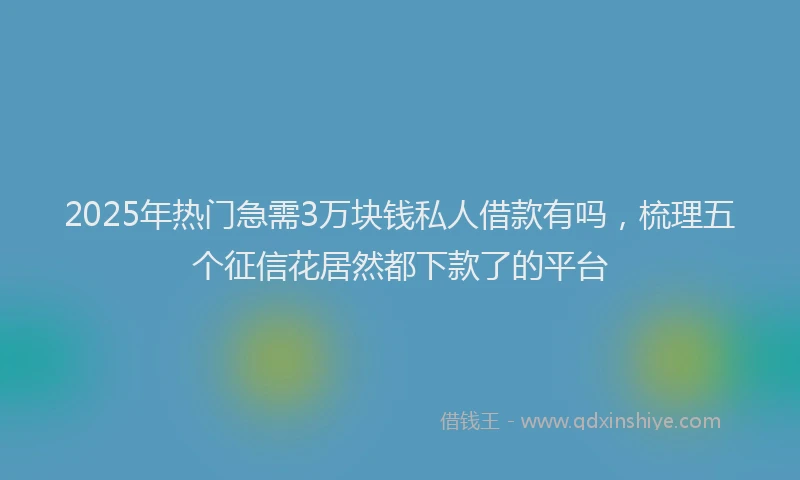2025年热门急需3万块钱私人借款有吗，梳理五个征信花居然都下款了的平台