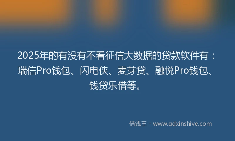 2025年的有没有不看征信大数据的贷款软件有：瑞信Pro钱包、闪电侠、麦芽贷、融悦Pro钱包、钱贷乐借等。