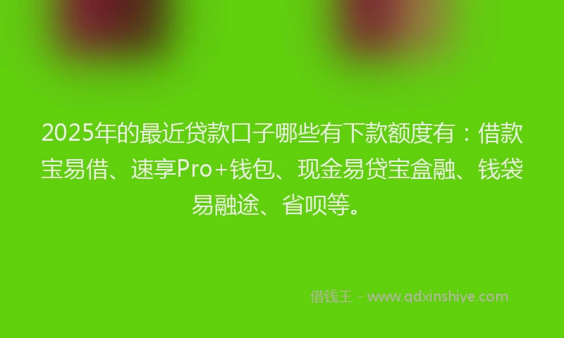 2025年的最近贷款口子哪些有下款额度有：借款宝易借、速享Pro+钱包、现金易贷宝盒融、钱袋易融途、省呗等。