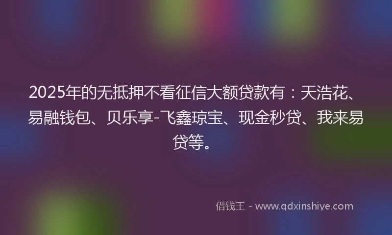 2025年的无抵押不看征信大额贷款有：天浩花、易融钱包、贝乐享-飞鑫琼宝、现金秒贷、我来易贷等。