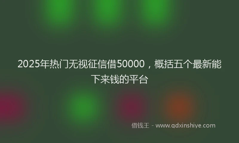 2025年热门无视征信借50000，概括五个最新能下来钱的平台
