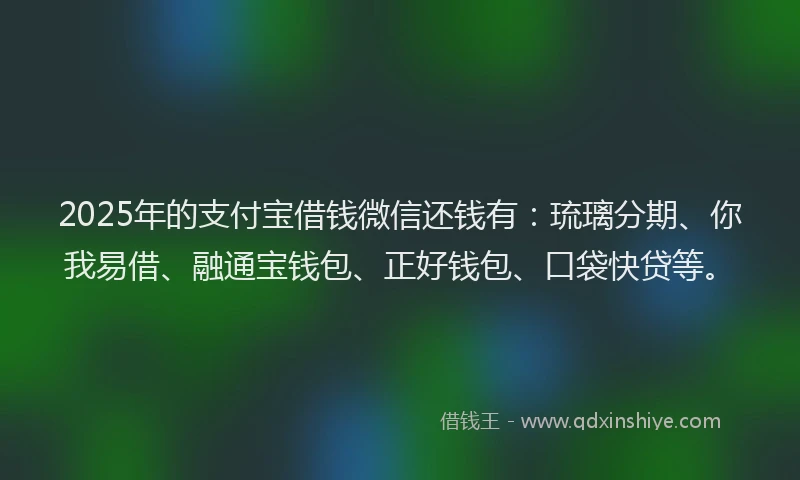 2025年的支付宝借钱微信还钱有：琉璃分期、你我易借、融通宝钱包、正好钱包、口袋快贷等。