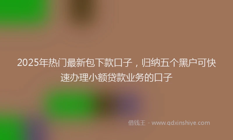2025年热门最新包下款口子，归纳五个黑户可快速办理小额贷款业务的口子