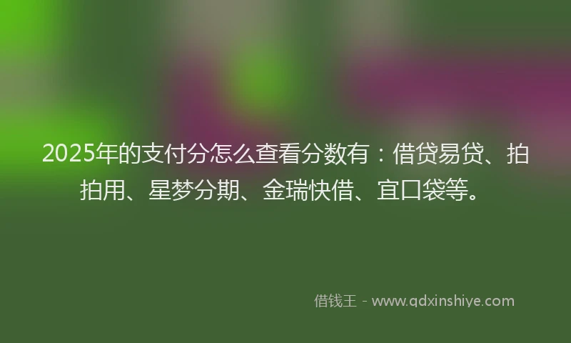 2025年的支付分怎么查看分数有：借贷易贷、拍拍用、星梦分期、金瑞快借、宜口袋等。
