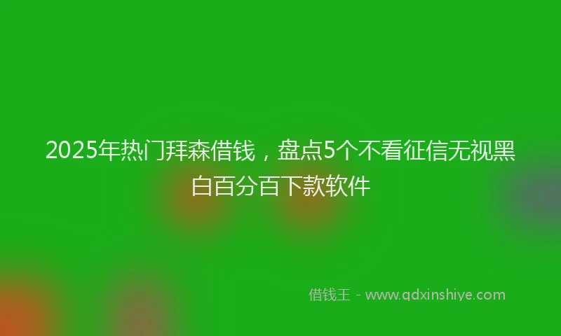 2025年热门拜森借钱，盘点5个不看征信无视黑白百分百下款软件