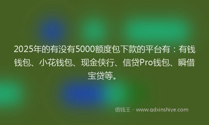 2025年的有没有5000额度包下款的平台有：有钱钱包、小花钱包、现金侠行、信贷Pro钱包、瞬借宝贷等。