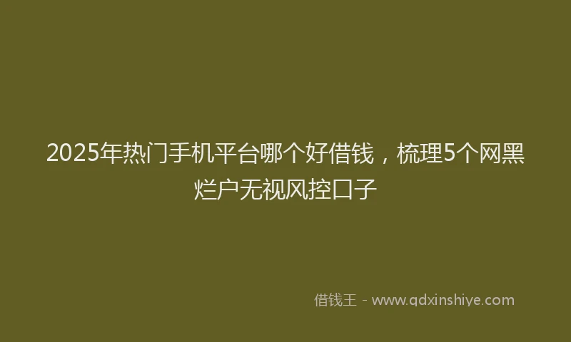 2025年热门手机平台哪个好借钱，梳理5个网黑烂户无视风控口子