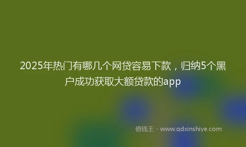 2025年热门有哪几个网贷容易下款，归纳5个黑户成功获取大额贷款的app
