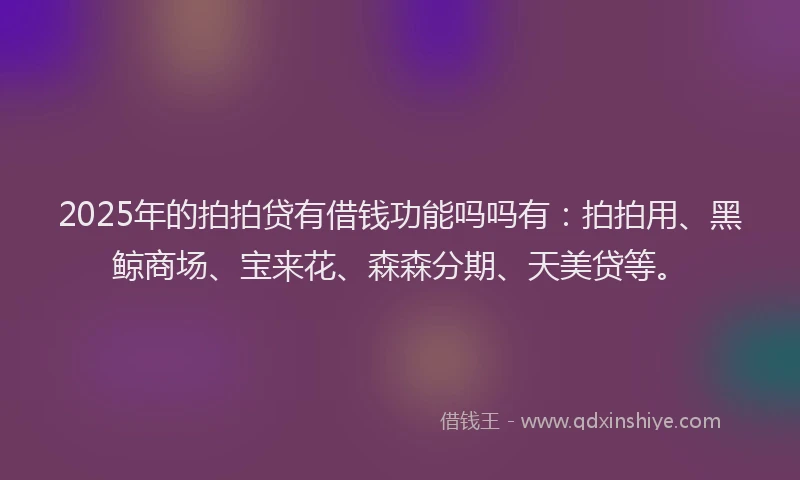 2025年的拍拍贷有借钱功能吗吗有：拍拍用、黑鲸商场、宝来花、森森分期、天美贷等。
