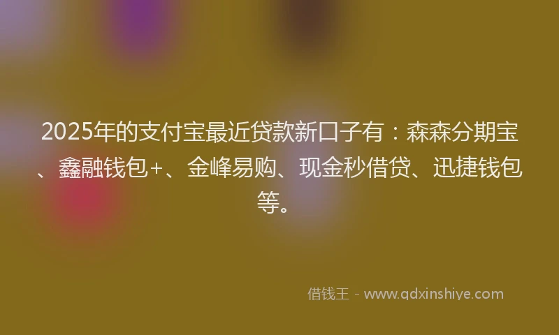 2025年的支付宝最近贷款新口子有：森森分期宝、鑫融钱包+、金峰易购、现金秒借贷、迅捷钱包等。