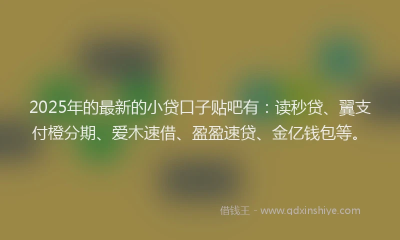 2025年的最新的小贷口子贴吧有：读秒贷、翼支付橙分期、爱木速借、盈盈速贷、金亿钱包等。