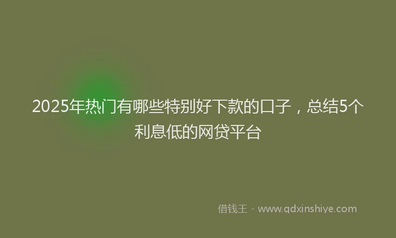 2025年热门有哪些特别好下款的口子，总结5个利息低的网贷平台
